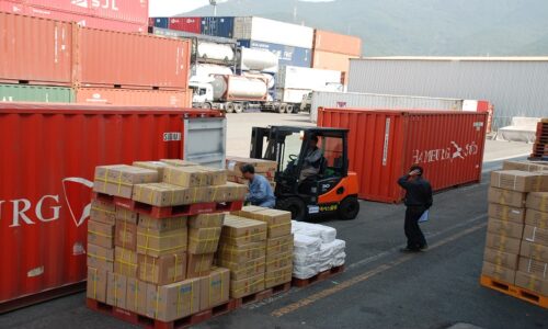 Pautas y consejos para iniciar en la importación Pautas y consejos para iniciar en la importación
